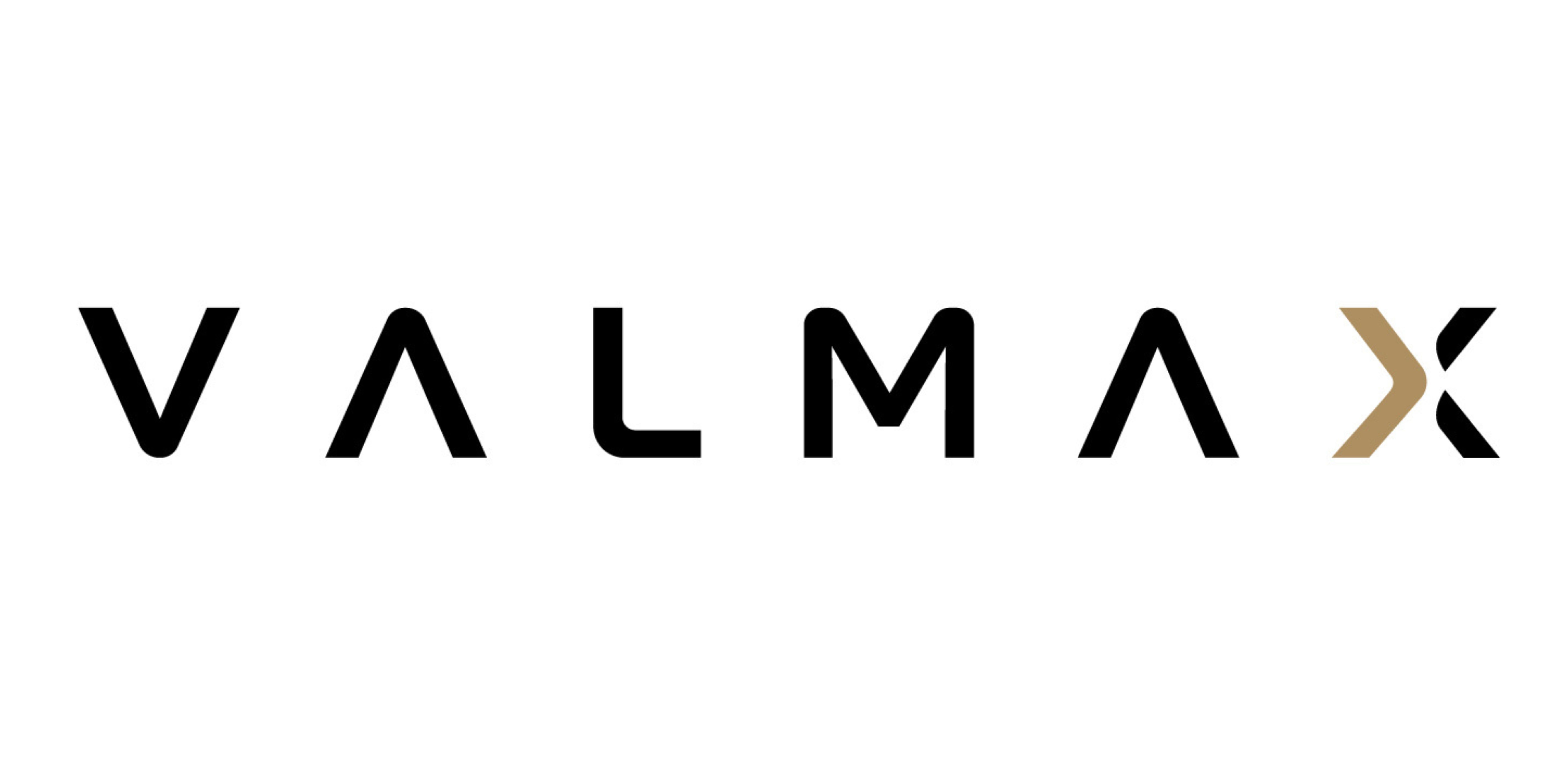 VALMAX logo